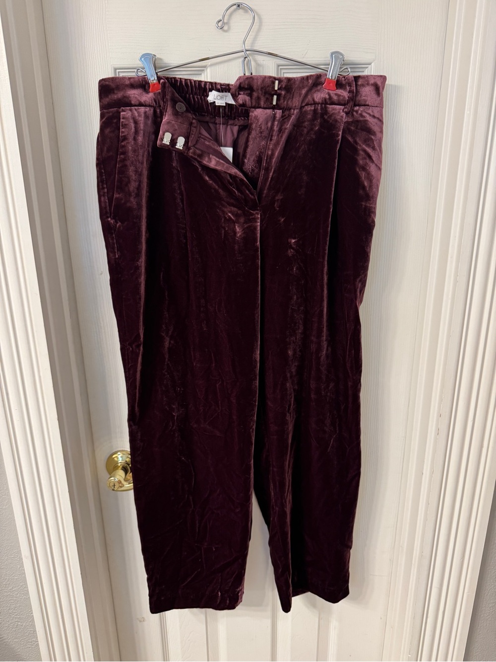 LOFT Velvet High-Waist Pants in Burgundy